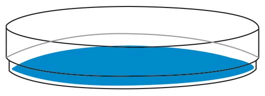 Petrischalen Boro 3.3 VOS glas