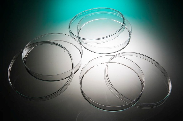 Petrischaal 55 mm zonder nokken